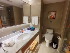 -北京广安门维景国际大酒店