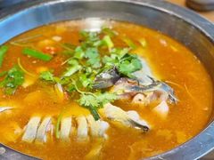 -老凯俚酸汤鱼(鸿通城店)