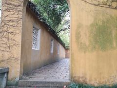 -苏州上方山国家森林公园