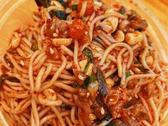 -铁山坪森林公园