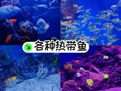 -成都浩海立方海洋公园