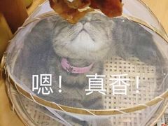 -巴四老城区炭火蛙锅(张江店)