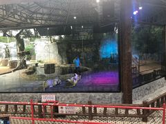 -清迈夜间动物园