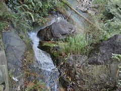 -鼎湖山风景区