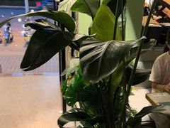 -顶顶香煎饼家常菜(金花南路店)