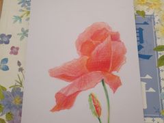 -BRAVO 赞·美艺术中心·系统美术·书法·艺考(双井校区)