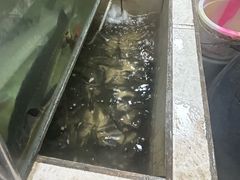 -苏记溪河鲢鱼庄(天府新区店)