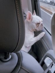 -禧园Joyous Garden ·宴会厅(禧园店)