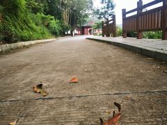 -飞霞风景名胜区