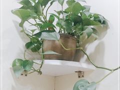 -张兴邦擀面皮(禧悦里店)