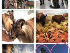 -陕西自然博物馆