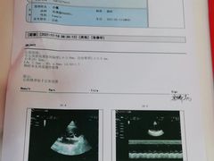-北京观赏动物医院·24小时大型综合·猫专科·异宠专科