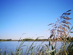 -西青郊野公园