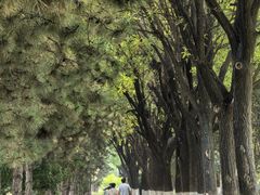 -汉长安城未央宫国家考古遗址公园