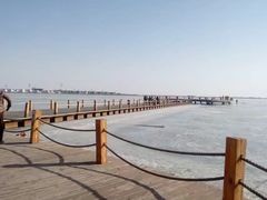 -包头南海湿地景区
