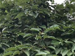 -合肥三国新城遗址公园