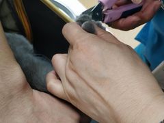 -宠颐生中康贝怡动物医院