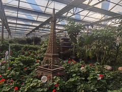 -南宫五洲植物乐园