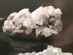 -正佳自然科学博物馆