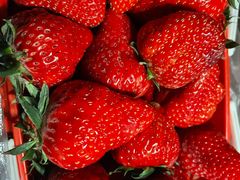 -苏格里岛自助烧烤火锅(花果园兰花广场店)