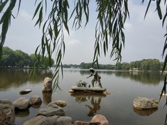 -石家庄市植物园