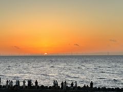 -南汇新城海滩