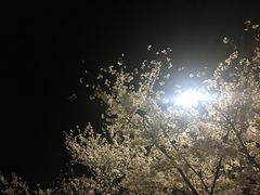 -梅园食堂