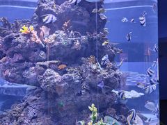 -成都浩海立方海洋公园