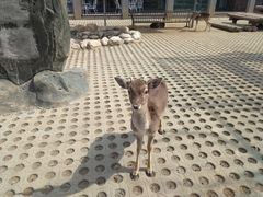 -西安秦岭野生动物园