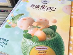 -哈根达斯(西安高新店)