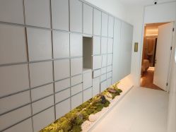 -苑苑vbeauty科技美容SPA