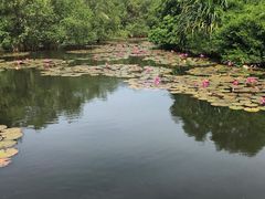 -白沙门生态公园