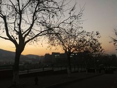 -青岛大学(金家岭校区)