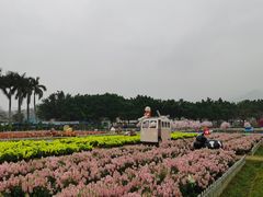 -盈香心动乐园