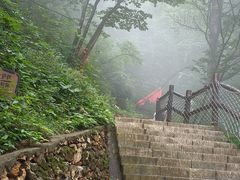 -秦岭天竺山生态文化旅游景区