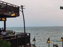 -卷心菜和避孕套餐厅(Pattaya)