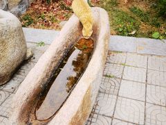 -四门塔风景区