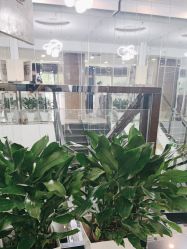 -悟空祛痘·诺奖技术专业店