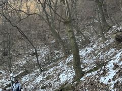 -终南山南五台景区