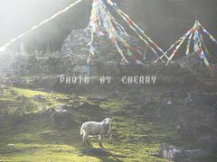 -硗碛藏寨·神木垒景区