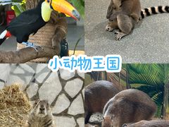 -海合安武汉极地海洋公园