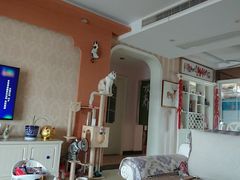 -美美宠物诊疗中心·异宠·骨科(滨江东信分院)