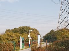-九里河湿地公园