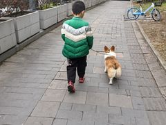 -半岛宠物医院24小时(科华中路店)