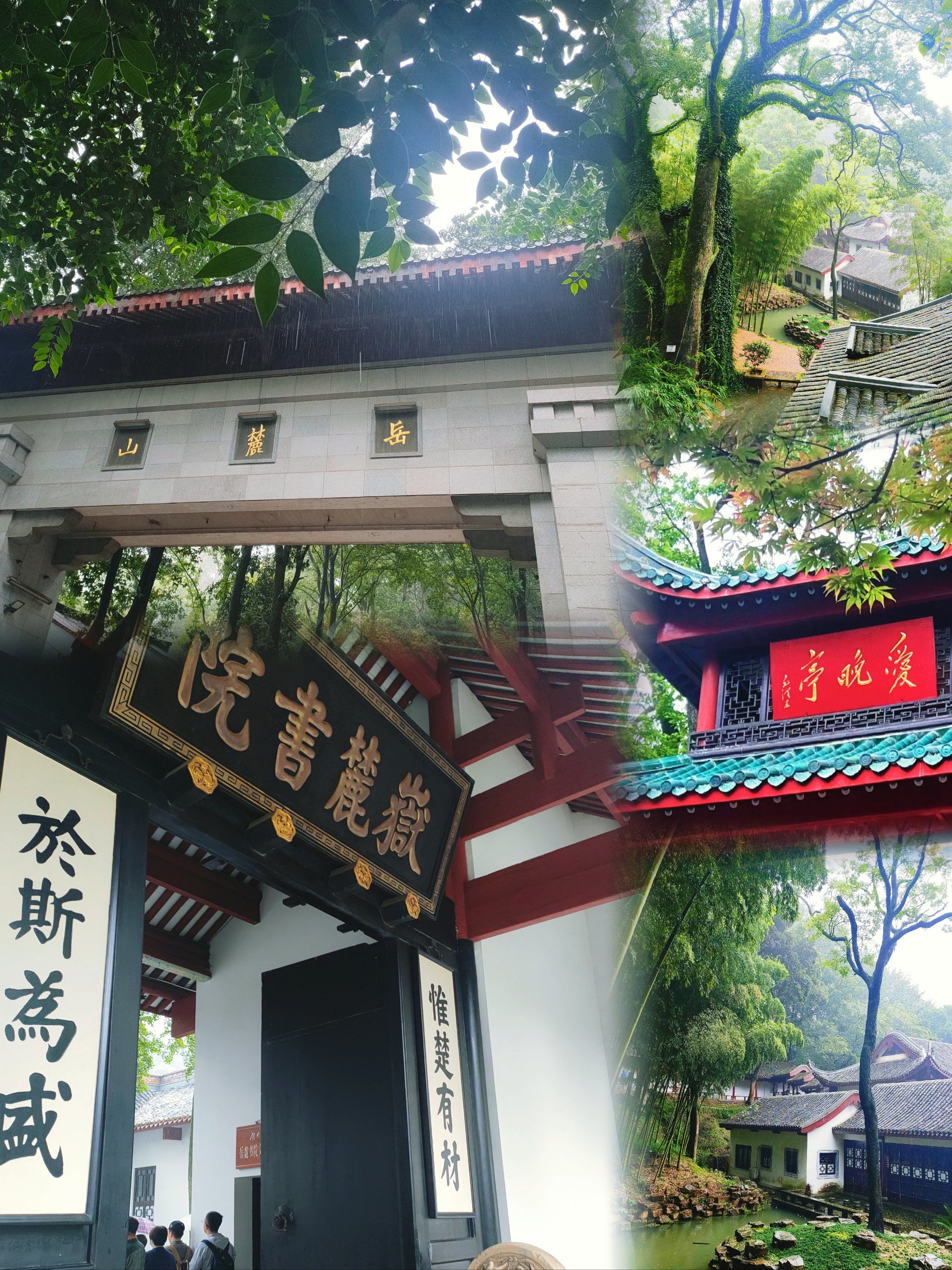 大众点评