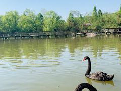 -溱湖国家湿地公园