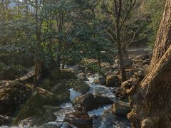 -白云源风景区