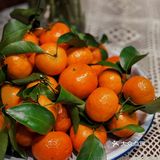 太冷了｜赶紧来一杯酒咖暖暖｜小众咖啡