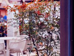 -思南书局·诗歌店