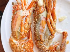 -Social 秀西餐厅-长沙瑞吉酒店(运达店)